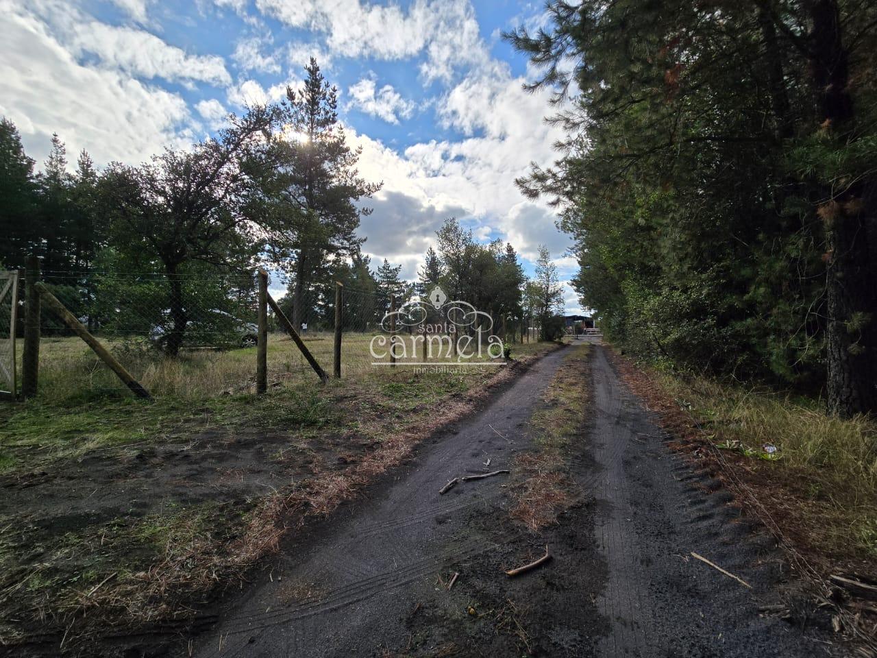 SE VENDE PARCELA ORILLA CAMINO